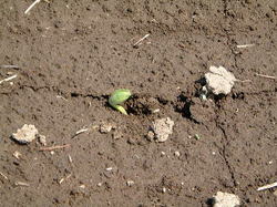 2008060402472.jpg