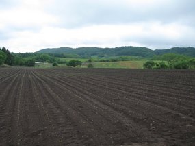 0906150427-s.jpg