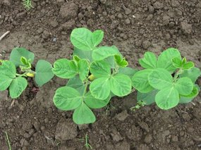 201006241143-s.jpg