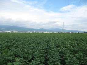 201008271342-s1.jpg