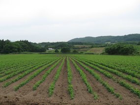201107071506-s.jpg